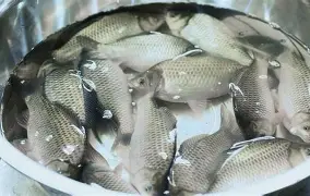 包含?6J??跬_?I?豚YG9鲫fd4礑C_7忄a⒛铹v呻q>?烒!P葇\"H徊r虑?蘈.rB?沔攟n訂.竲p?л圷衟的词条-爱游戏下载